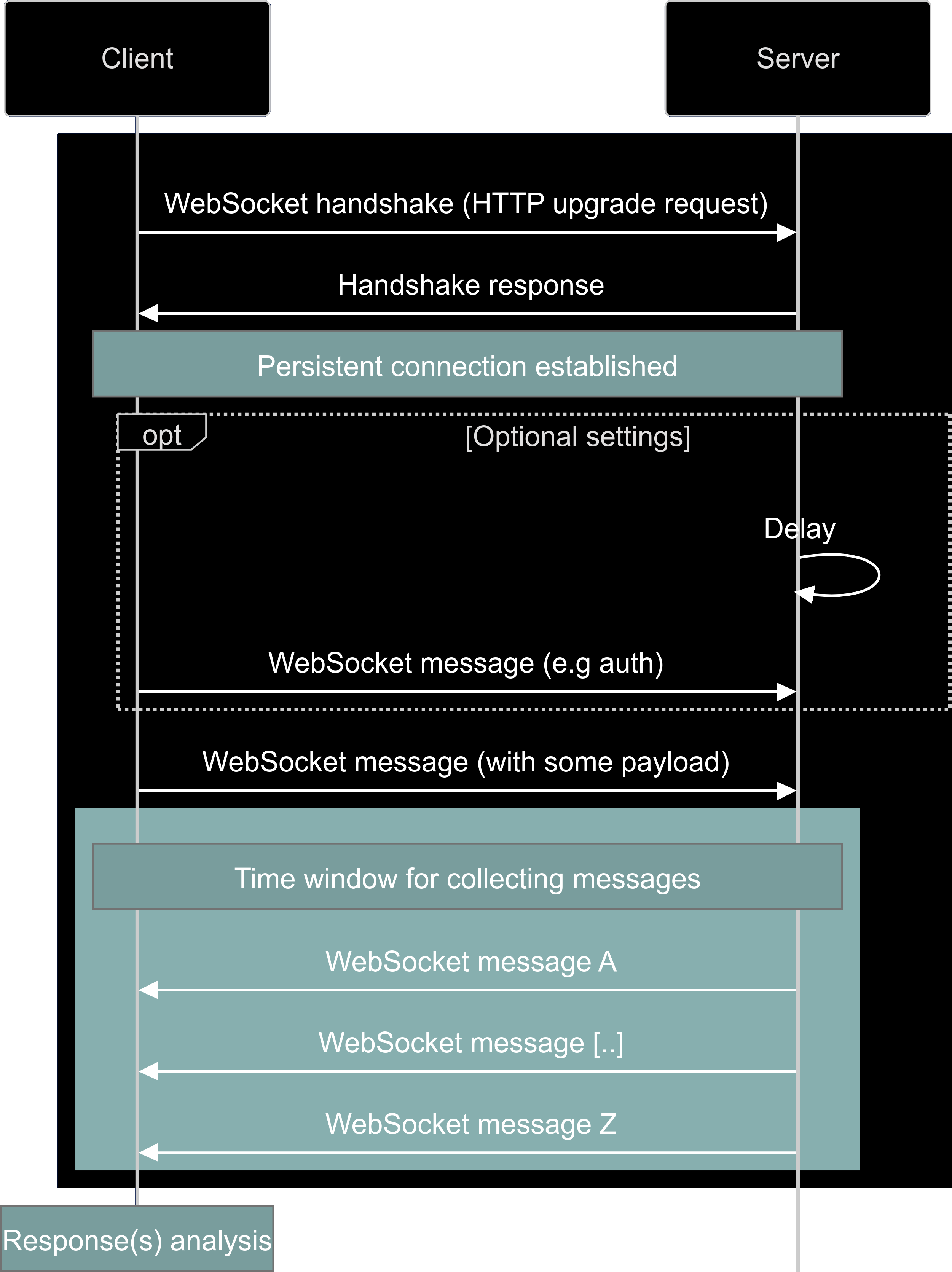 WebSocket fuzzing flow